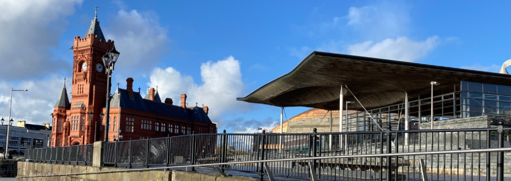 Senedd Website Banner.png