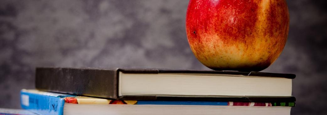 pexels-pixabay-256520 (3).jpg