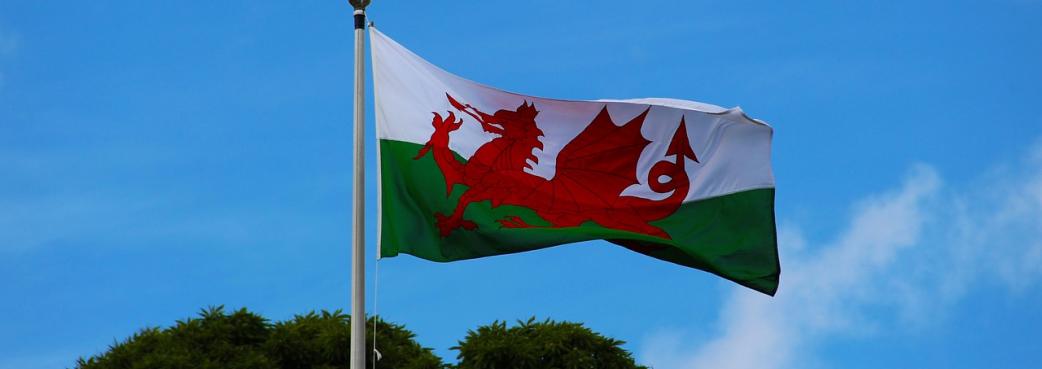 welsh-flag-2412265_1280.jpg